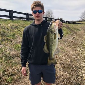 Meet your Posher, Riley